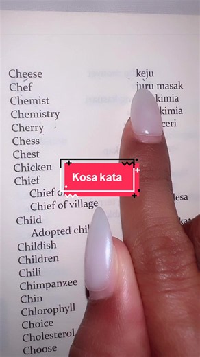 Kosa Kata Bahasa Inggris untuk Anak: Buku Belajar Dasar
