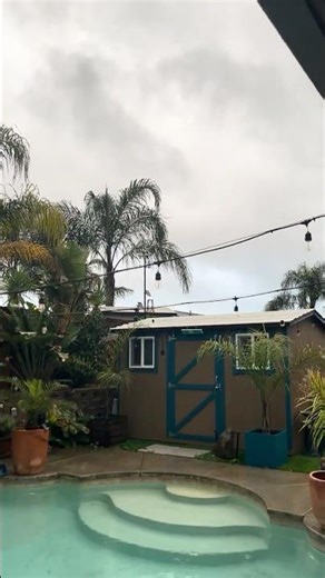 ⛈️ Chica hates the rain, Frankie & Simone don’t care! #foryou #cat #viral #viralshort