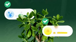Download and run Garden Genie: Plant Identifier on PC & Mac (Emulator)