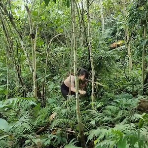 67K views · 724 reactions | FULL VIDEO; Skills, survival, survival shelter buildin | Primitive wilds Life | Facebook