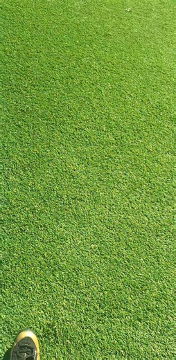 Mark Quinn on Reels | Facebook