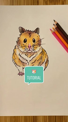 Hamster Drawing Tutorial: Learn How to Draw Cute Hamsters Easily