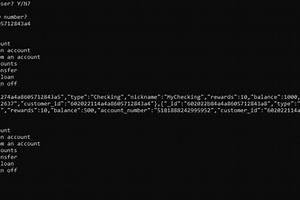 Capital One Banking Interface