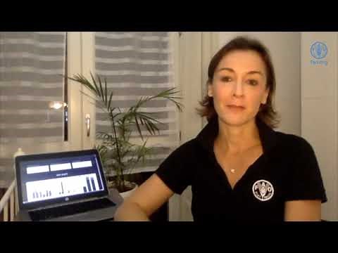 GLEAM-i part 1 Introduction