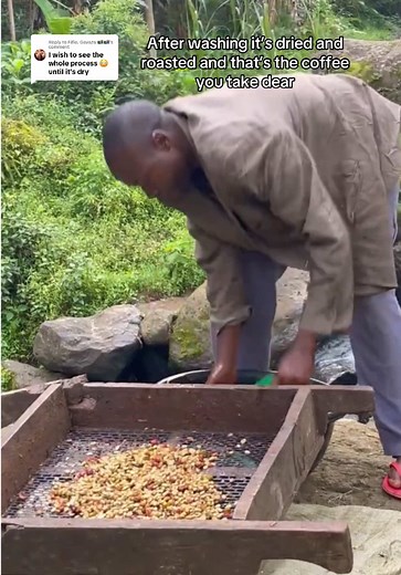 Understanding the Coffee Processing Method in Africa