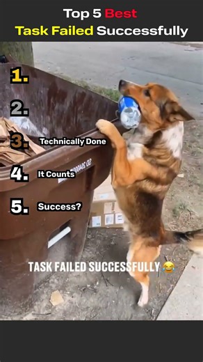 Failed, But It Worked😂😂