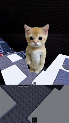 Studied All Night, Wrong Chapter #roblox #rblx