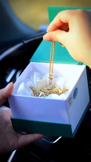 Kaarr on Instagram: "Car Hangings #kaarr # hangings"