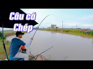 🎣 A day of carp fishing at Sa Cao ferry | Real experience