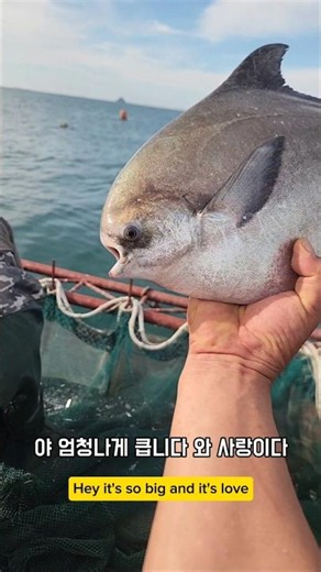 Why is the intern’s voice louder? #Namhae #Pomfret #Ocean #WildCaught #Mukbang #Cleaning #Internship