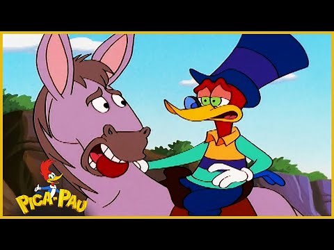 Pica-Pau em Português | Mula Molenga | Compilação De 1 Hora | Desenhos Animados
