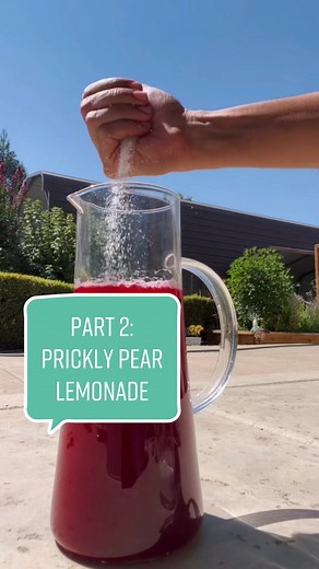 The Prickly Pear | Mona B. on TikTok