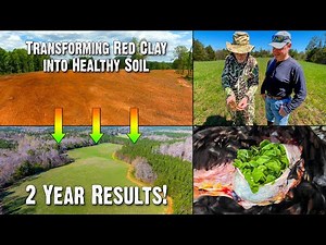 Transforming Red Clay into Healthy Soil: Achieving Successful Food Plot Results in Just 2 Years 754