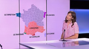 French Connections - Les langues régionales françaises, un trésor national