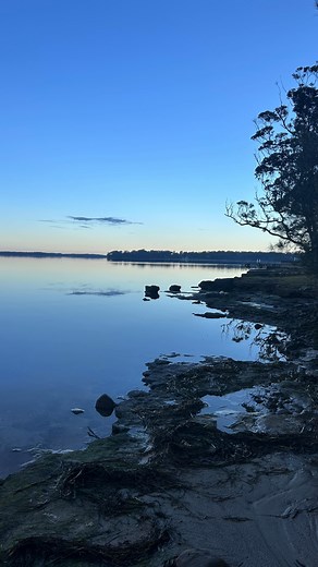 This road trip just keeps getting better. Waking up to good coffee and this view out the back door. | Lara Wilde