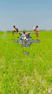 Cansado jamás | ᴄᴏʀʀɪᴅᴏꜱ ʀ ᴍᴜꜱɪᴄ