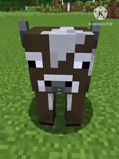 Minecraft Secret Name Tags You Didn't Know Exist 🤯