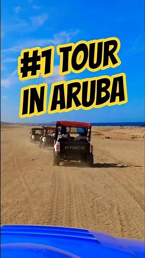 ULTIMATE ATV/UTV Tour in Aruba - BOOK IT #atv #utv #aruba #arubatravel #cruise #cruisetour #travel