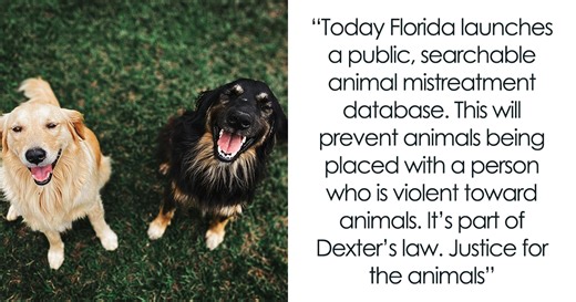 35 Americans Share The Good Things Happening In The U.S. That No One Talks About