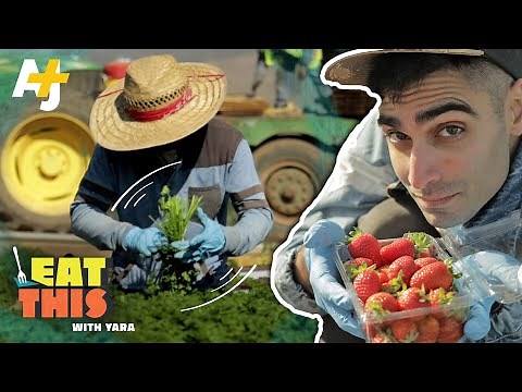 What everyone gets WRONG about farm work