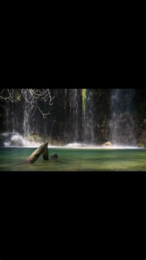 ♾️ L’inconscient collectif