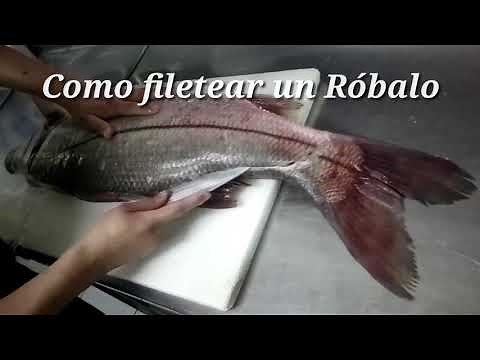 Aprende a Filetear Pescado - Róbalo