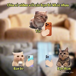 Chia sẻ video với các bạn bè khác nhau #cat #catmeme #meme #pet #shorts