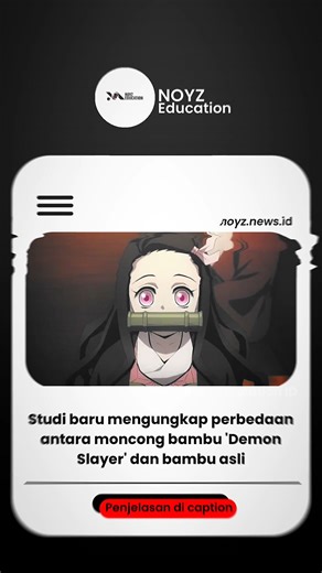 Studi baru mengungkap perbedaan antara moncong bambu 'Demon Slayer' dan bambu asli.