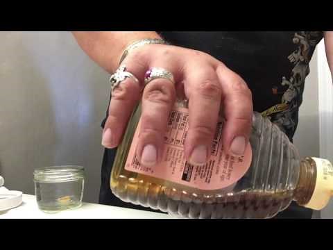 Germinating Clivia Seeds