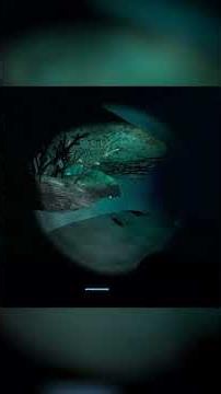 The Scariest Moment in Stranded Deep