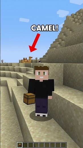 Can you put a chest on a Minecraft Camel? #minecraft #minecraftshorts