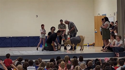 To celebrate Mountain View Elementary - Davis School District's Read-a-Thon success, students watched their administrators kiss a goat at a recent school assembly. Mr. Nash even tried to sneak by with a stuffed goat… until the real one showed up. It was a fun, memorable and great way to celebrate a love of reading! #MountainViewElementary #DavisDistrict #ReadAThon #GoatKiss #ReadingFun | Davis School District
