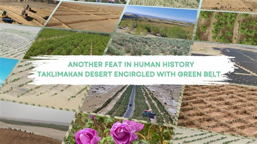 Taklimakan Desert, once dubbed "sea of death," is now surrounded by a 3,046-km green belt. As part of China's Three-North Shelterbelt Forest Program, this project combines vegetation, solar tech & sustainable industries to protect infrastructure, create opportunities & inspire global desertification battle. | China Xinhua News