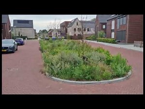 Bioswale & Grass filled Grid Pavers Zuideind Made, The Netherlands