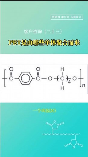 What monomers are polymerized to form PBT？