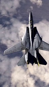 イランには現在も1970年代後半にアメリカから供与されたF-14十数機が現役として残っている。しかしもはや過去の遺物と化したF-14に実質的な戦闘能力はなくいま空に上がればレーダーのスイッチを入れた瞬間その位置が特定されF-35の長距離ミサイルで撃墜されるだろうとのこと