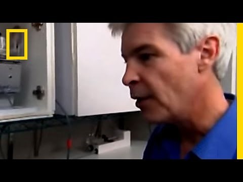 World's Most Dangerous Drug | National Geographic