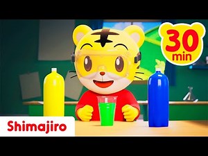 🔬🎶 Let’s Discover and Learn the World with Shimajiro! 🐯✨ 30-Minute Science & Learning Songs 🌈