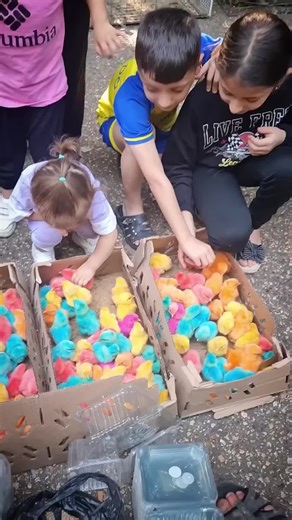 Why You Should Never Buy Colorful Chicks