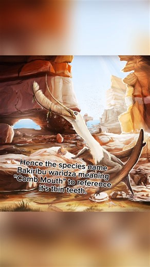 Still confused as to how it even fossilized in the first place 🤣🤣😂