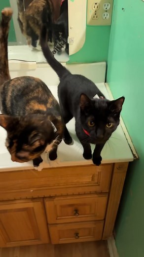 33 reactions |  Morning Routine Turned Quarantine  It’s our...