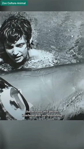 The Experiment That Crossed the Line? - Margaret Howe Lovatt