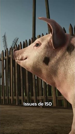 Farming Simulator: Signature Edition – Date de sortie + Trailer de gameplay (Switch 2) #gaming