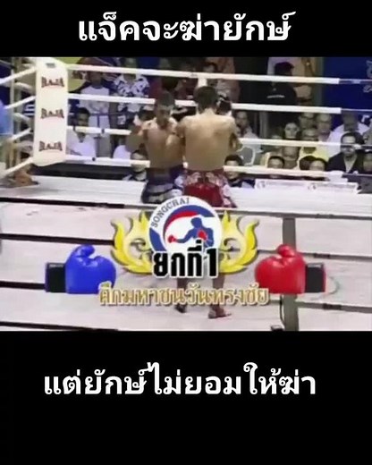 Muay Thai Boxing Match Highlights: Athletic Fighters in Action