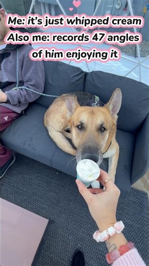 Me: It’s just whipped cream.Also me: records 47 angles of him enjoying it#PupCup #GermanShepherd