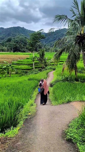 Rural atmosphere in Cianjur, West Java #rural #nature #villagerlife #rurallife #village