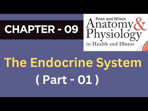 Part - 01 | Chapter - 09 | The Endocrine system | Anatomy & Physiology | Ross & Wilson