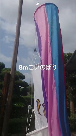 「鯉のぼりと日本の美」- 伝統文化と風景が織りなす春の魅力Koinobori in Japan: Discover the Beauty of Traditional Japanese #shorts