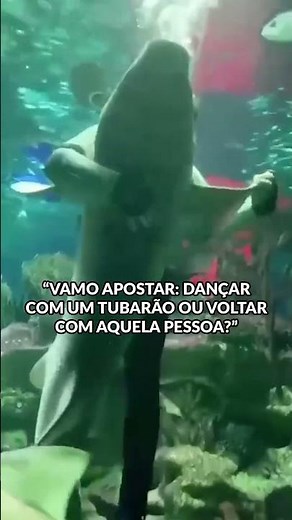 Não tenho medo do perigo 🦈🤣#inimigosdahp #pagode #humor