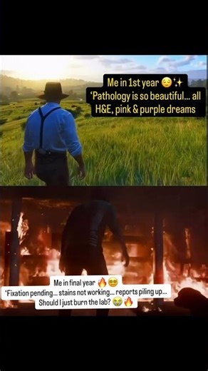 Phases of a Pathology Resident From “H&E is beautiful ➡️to “Burn the lab “ #pathologist #medical